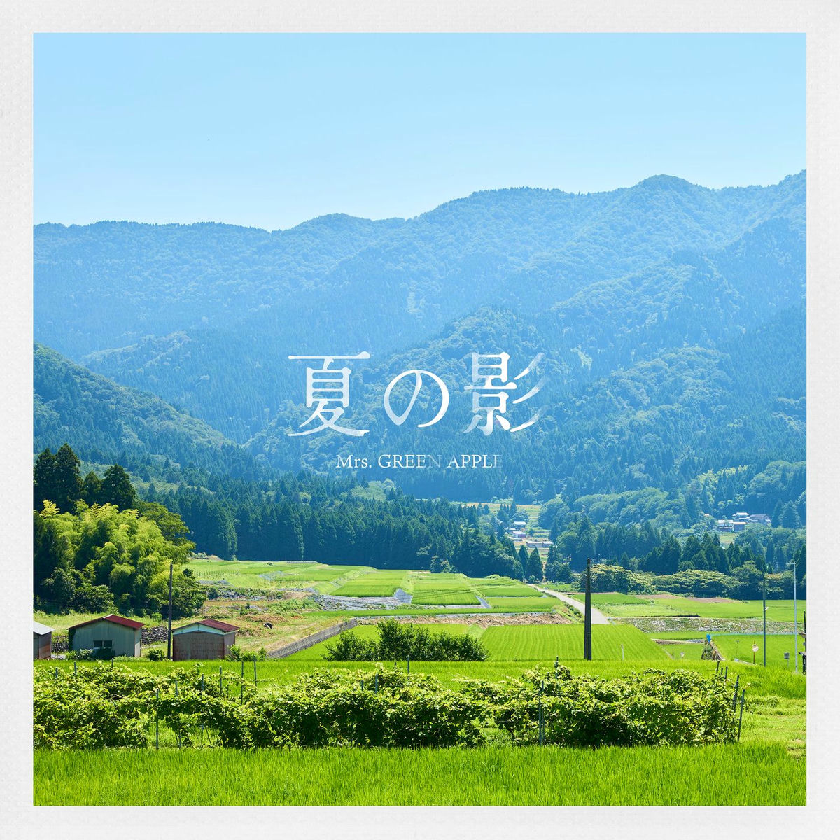 Album cover of Summer Shadow