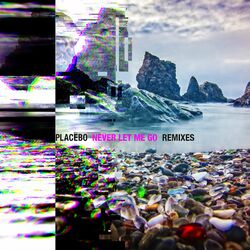 Never Let Me Go - Remixes