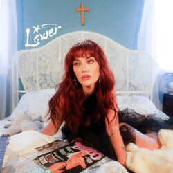 Cover of lower