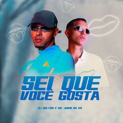 Cover of Sei Que Você Gosta