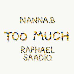 Cover of Too Much