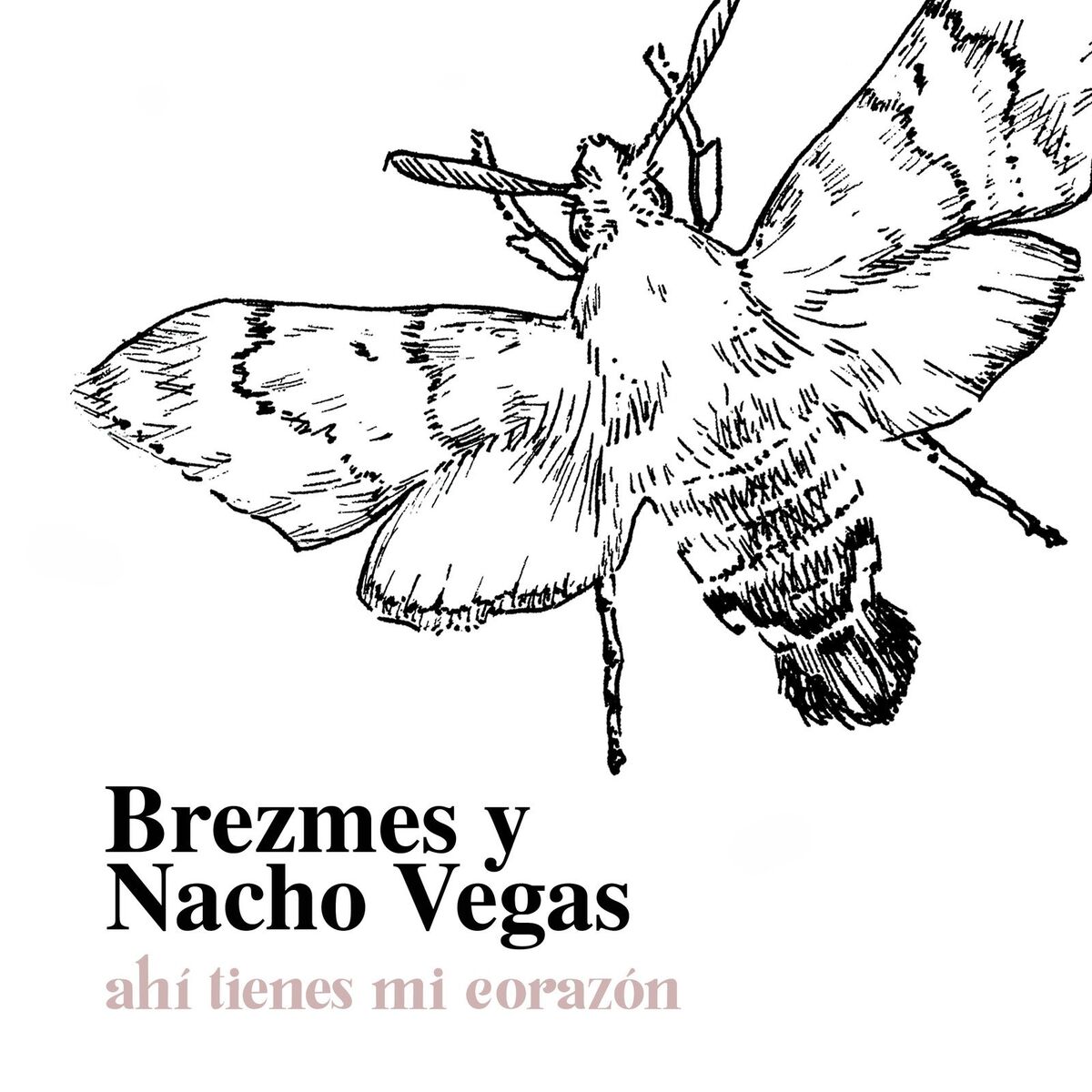 Album cover of Ahí Tienes Mi Corazón