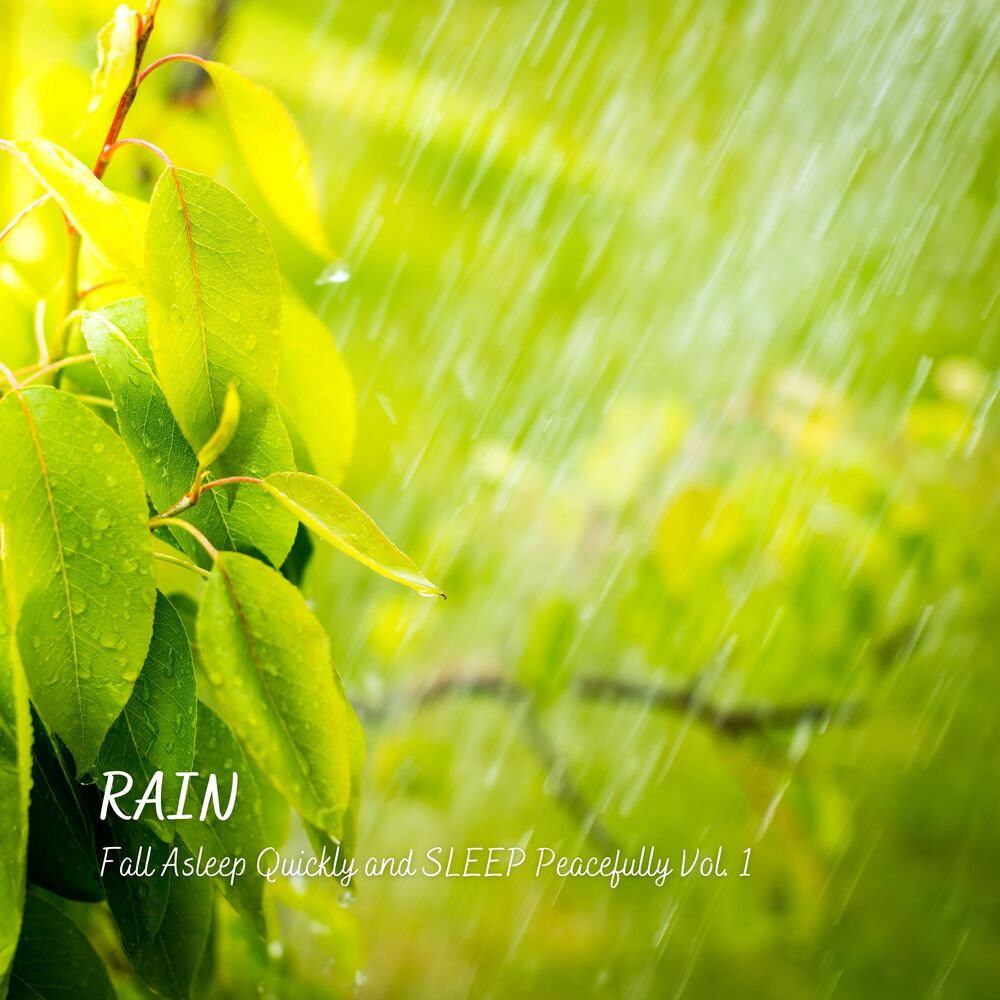 Picture of Rain: Fall Asleep Quickly and Sleep Peacefully Vol. 1