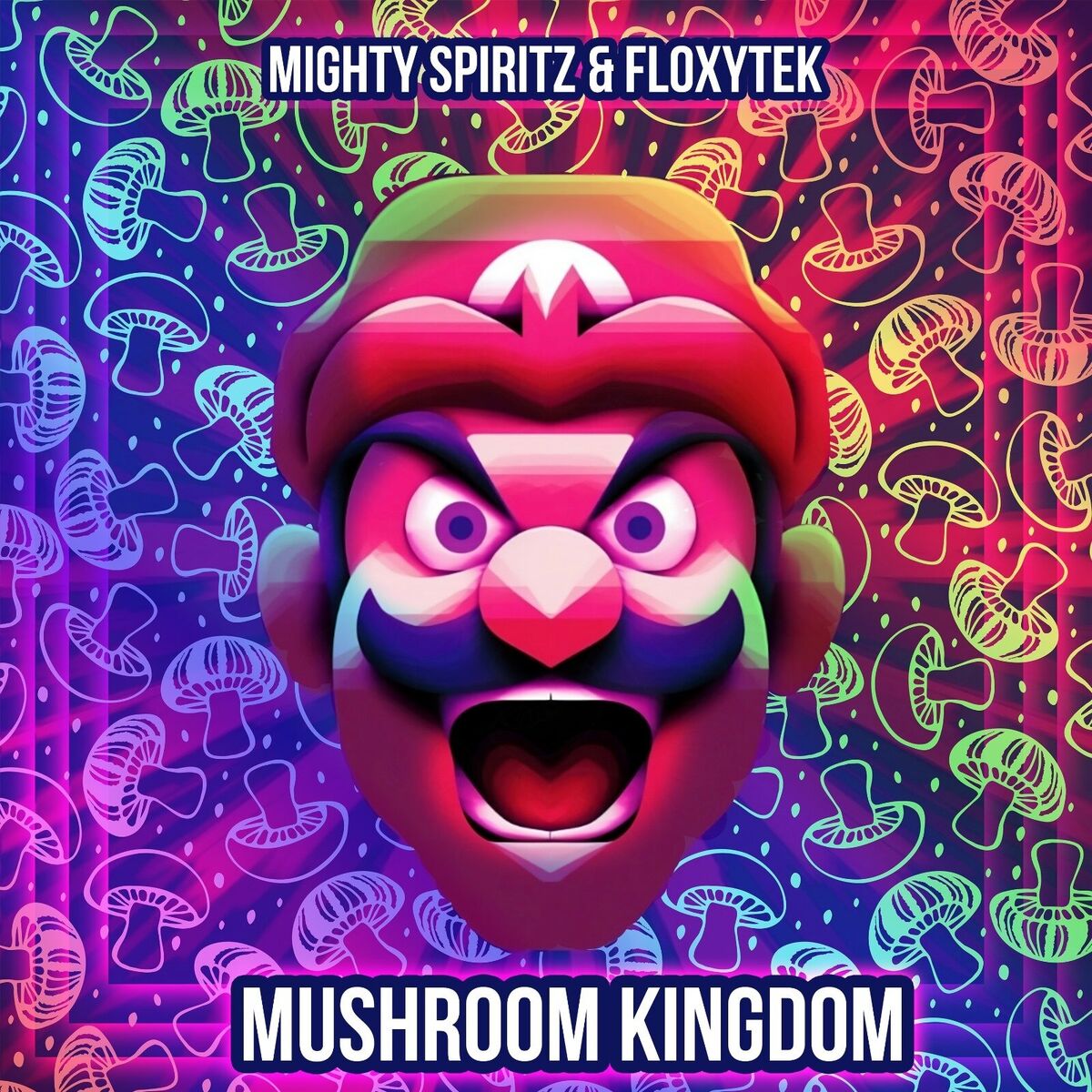 Album cover of Mushroom Kingdom