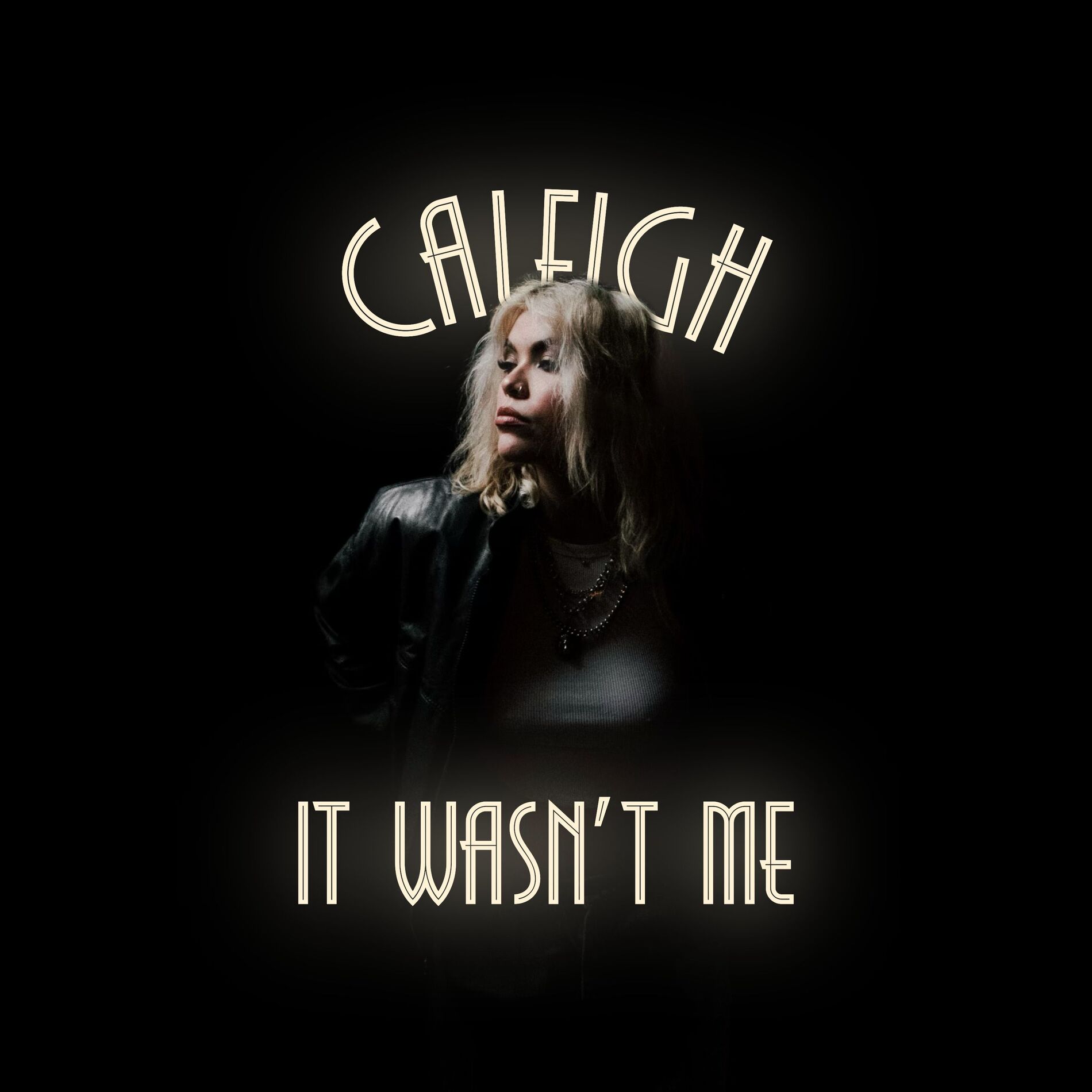 Album cover of It Wasn't Me