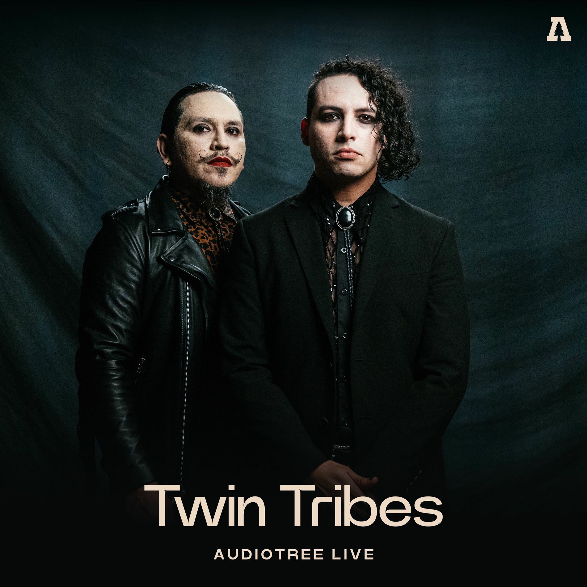 Album cover of Twin Tribes on Audiotree Live