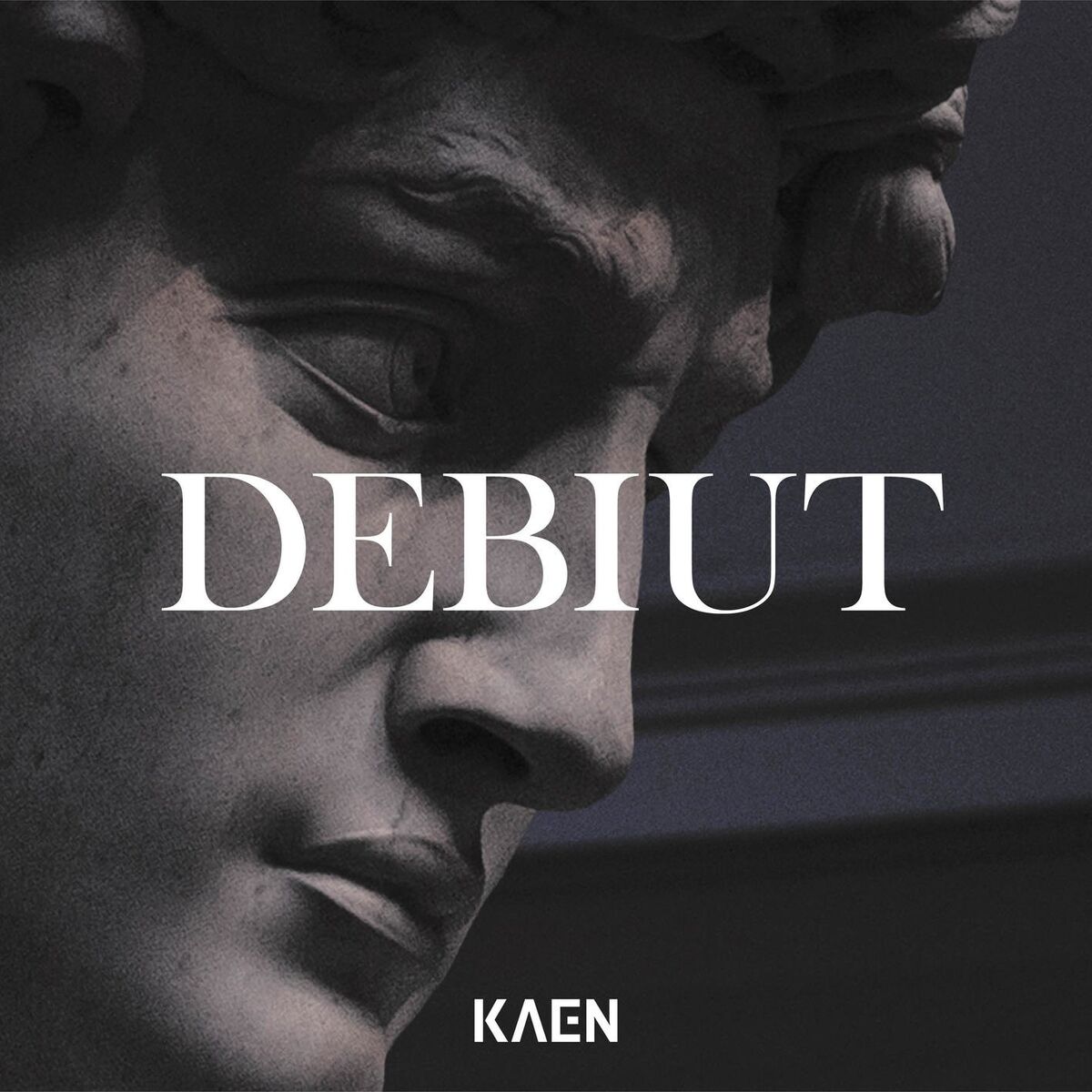 Album cover of Debiut