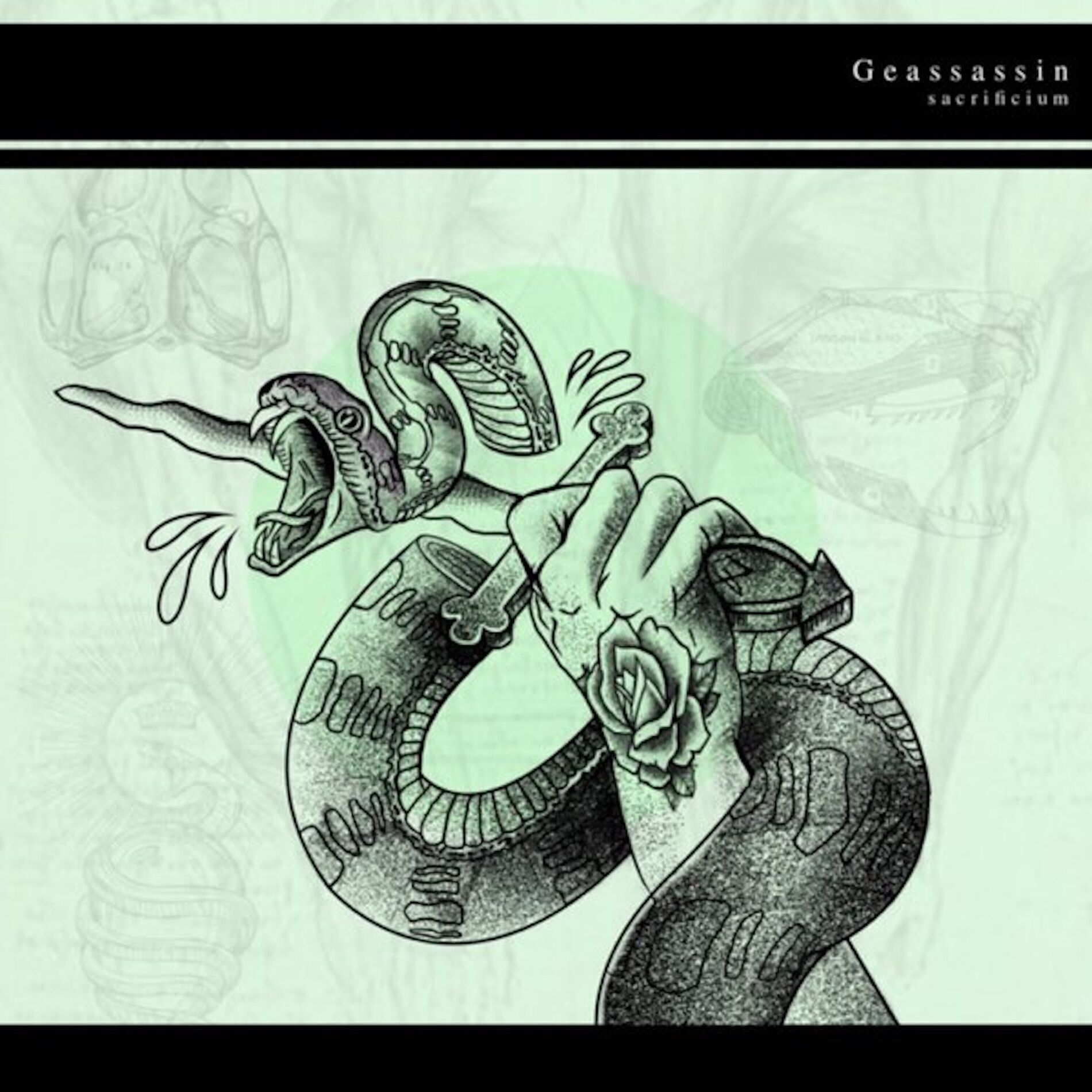 Album cover of Sacrificium