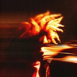 Cover of Withering