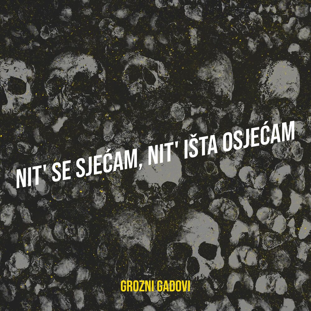 Picture of Nit' se Sjećam, Nit' išta Osjećam