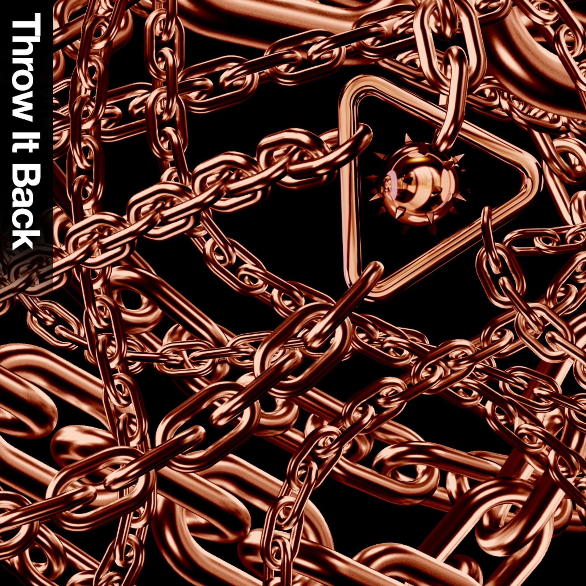 Album cover of Throw It Back