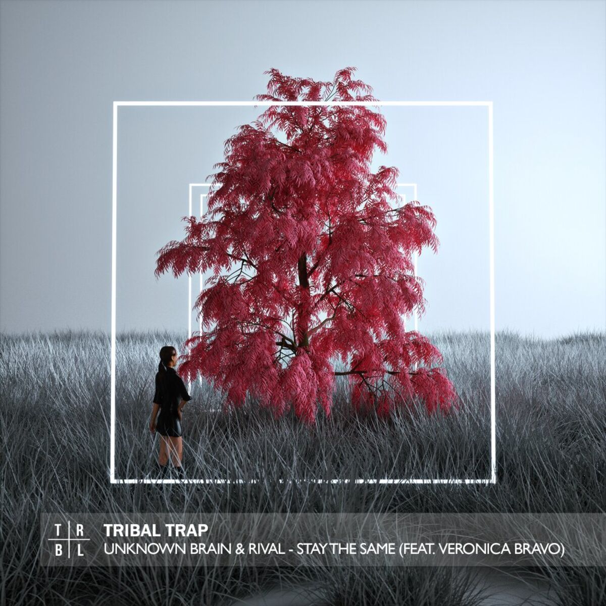 Album cover of Stay the Same