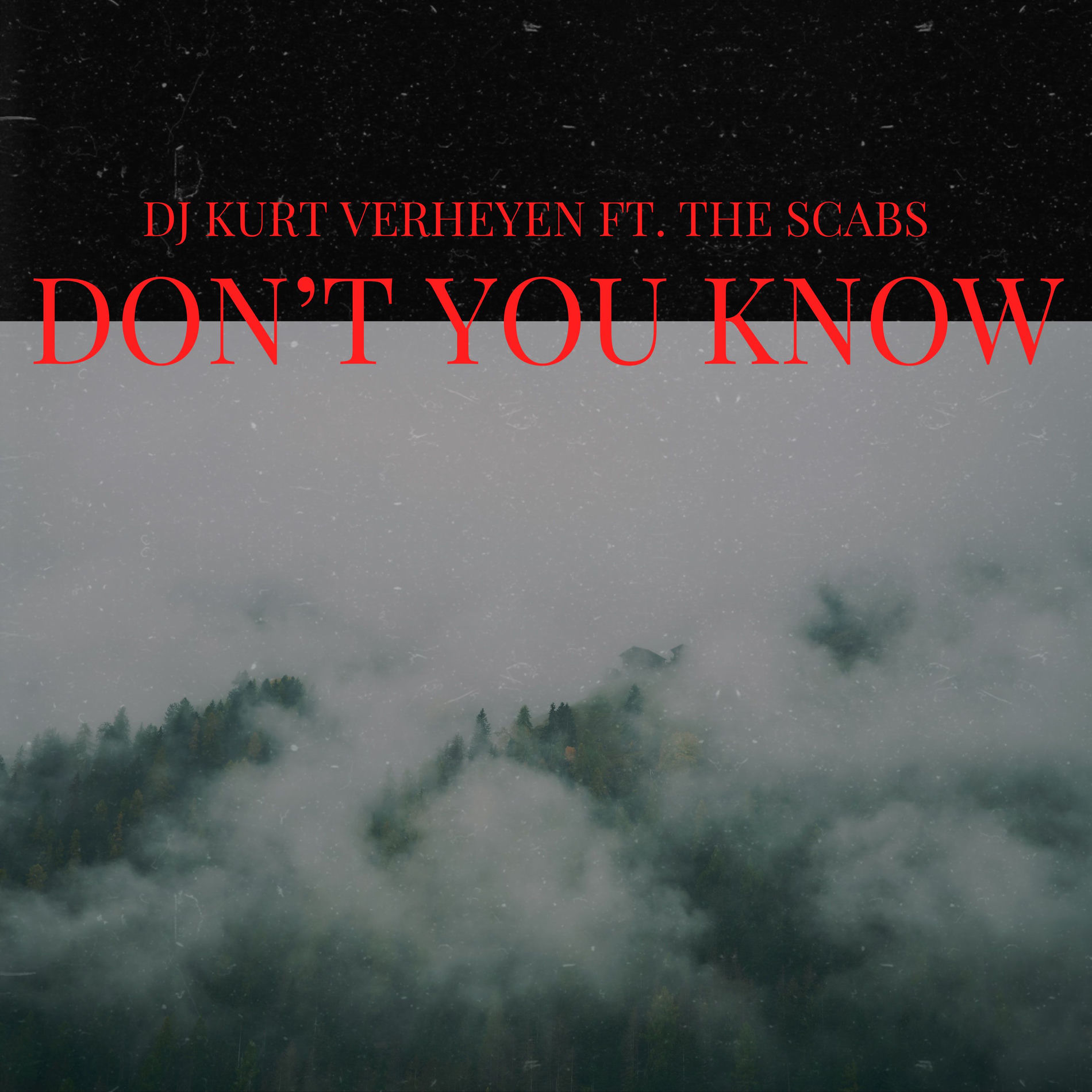 Album cover of Don't You Know
