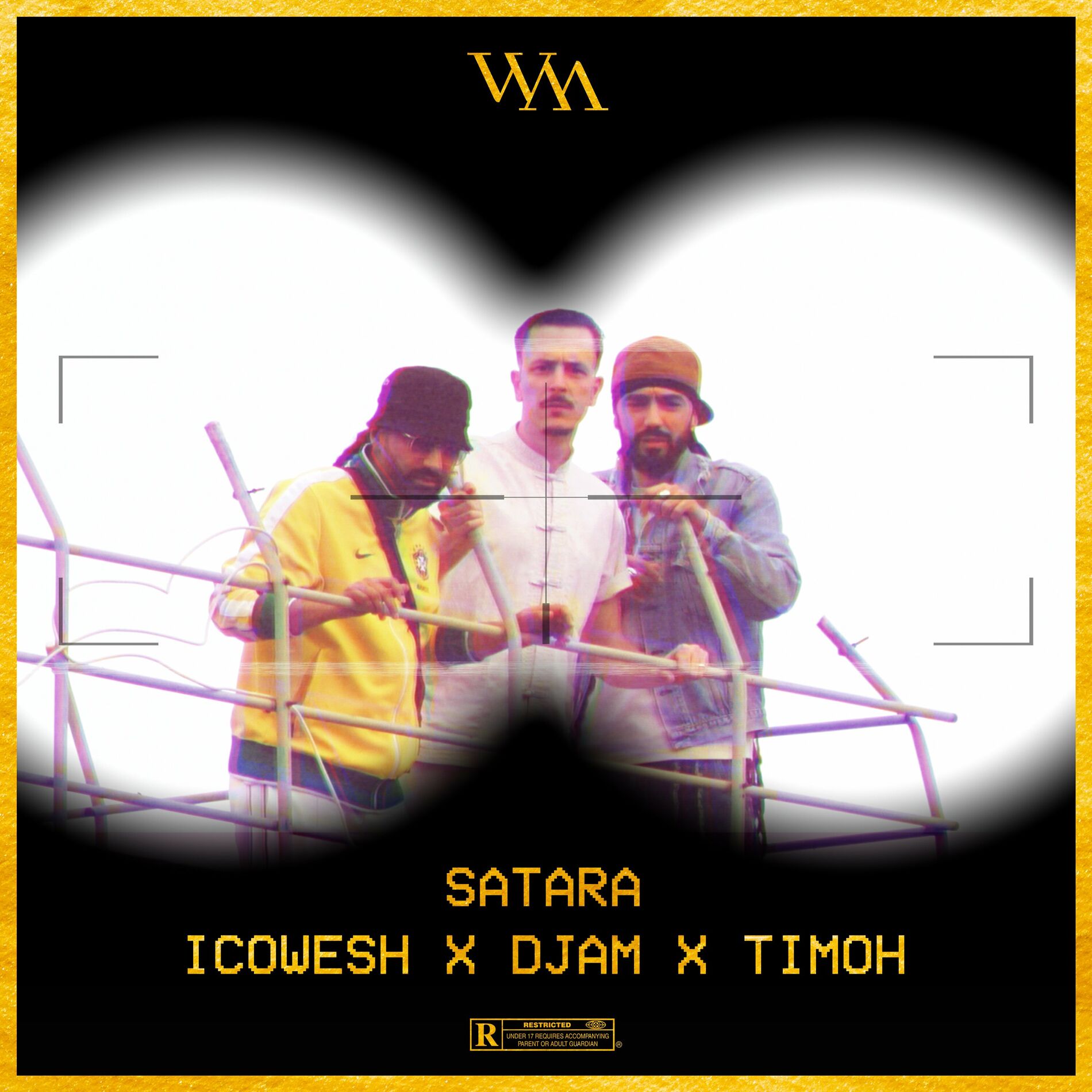 Album cover of Satara
