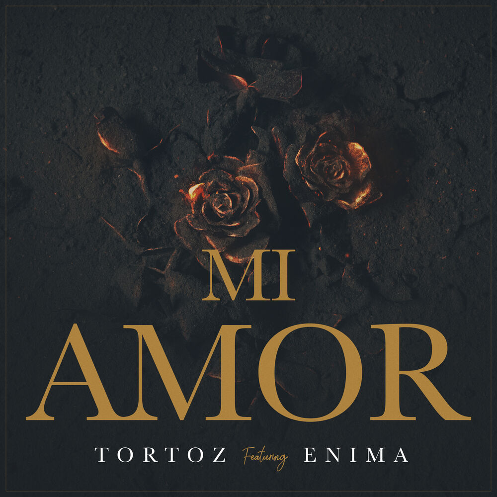 Picture of Mi Amor