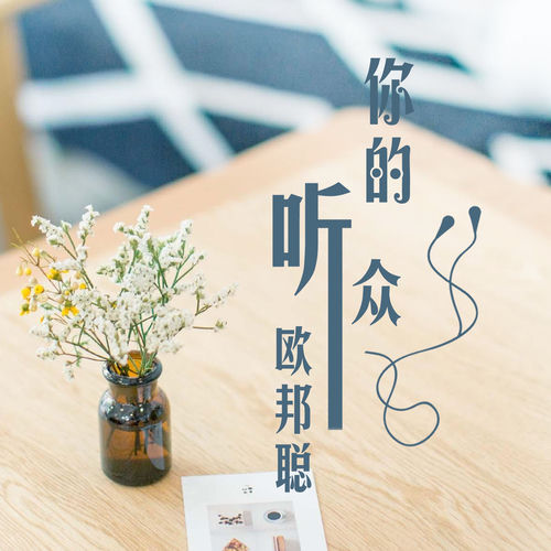 你的听众