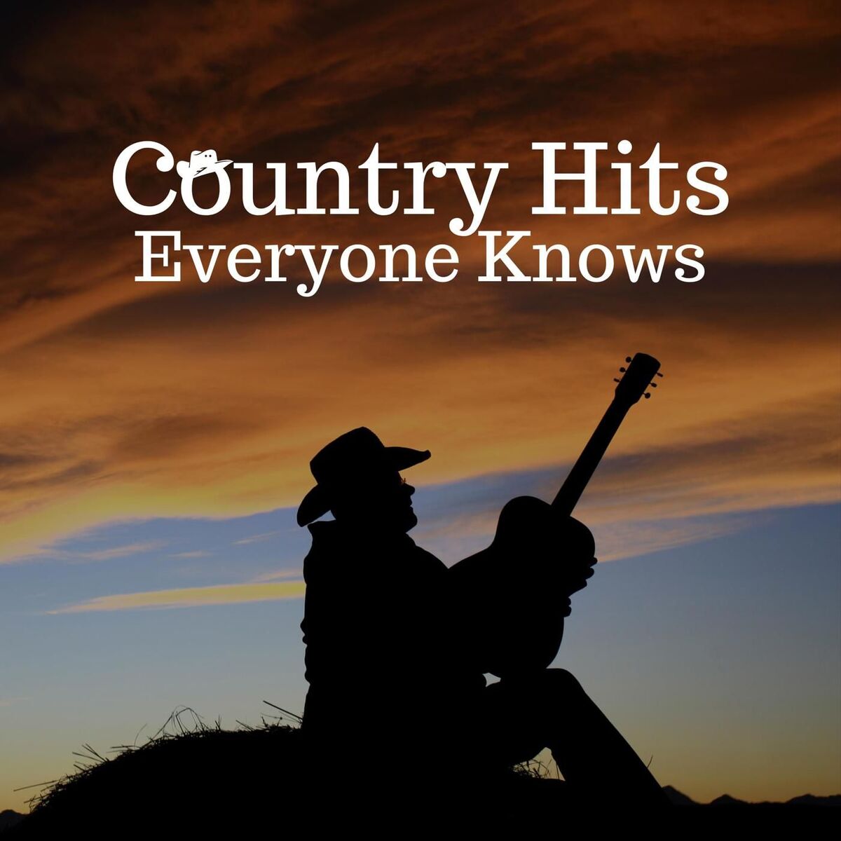 Album cover of Country Hits Everyone Knows