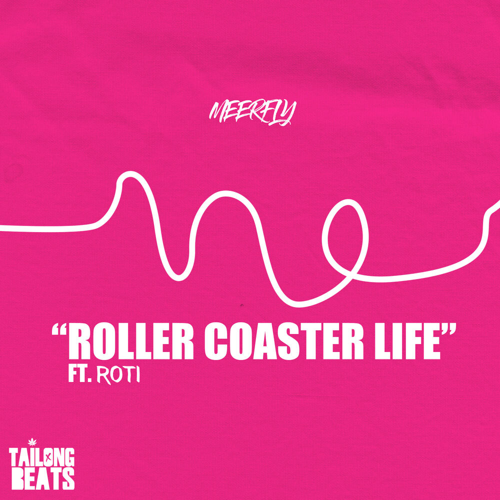 Picture of Roller Coaster Life