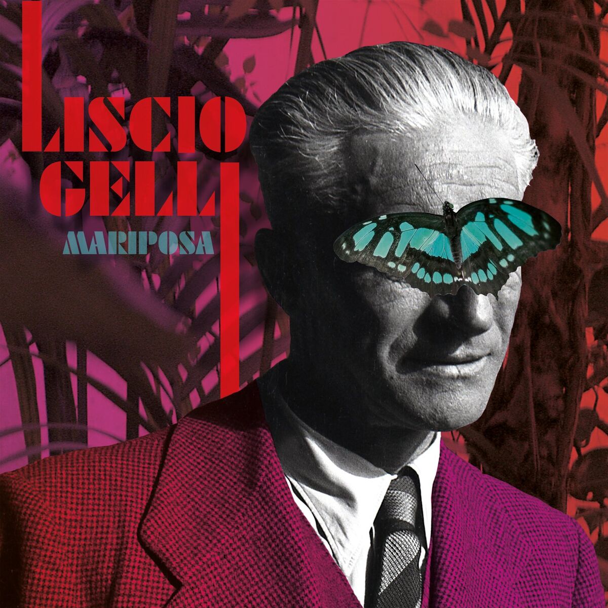 Album cover of Liscio Gelli