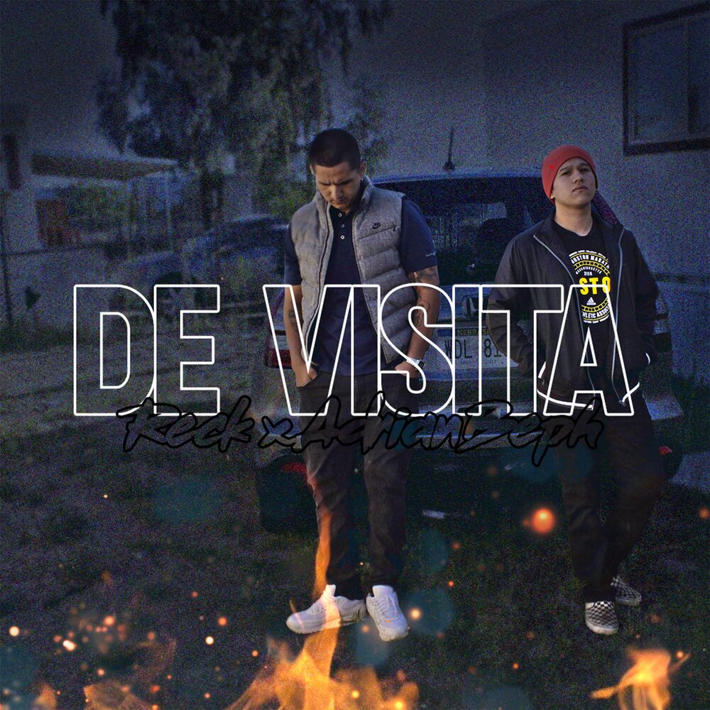 Picture of De visita