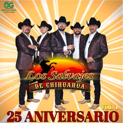 Cover of 25 Aniversario, Vol. 1