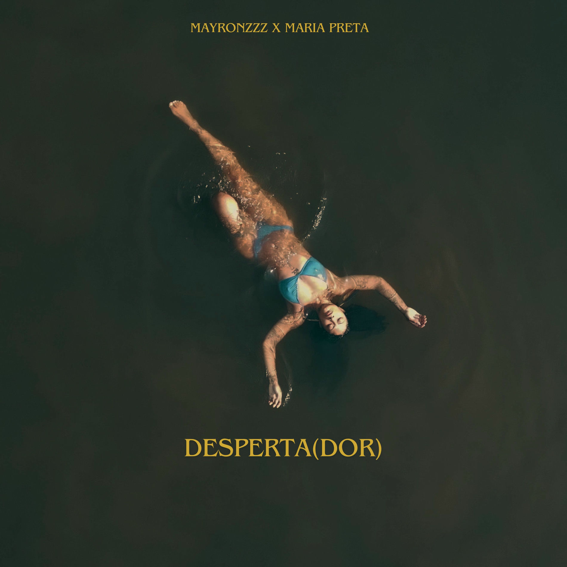 Album cover of Desperta(dor)