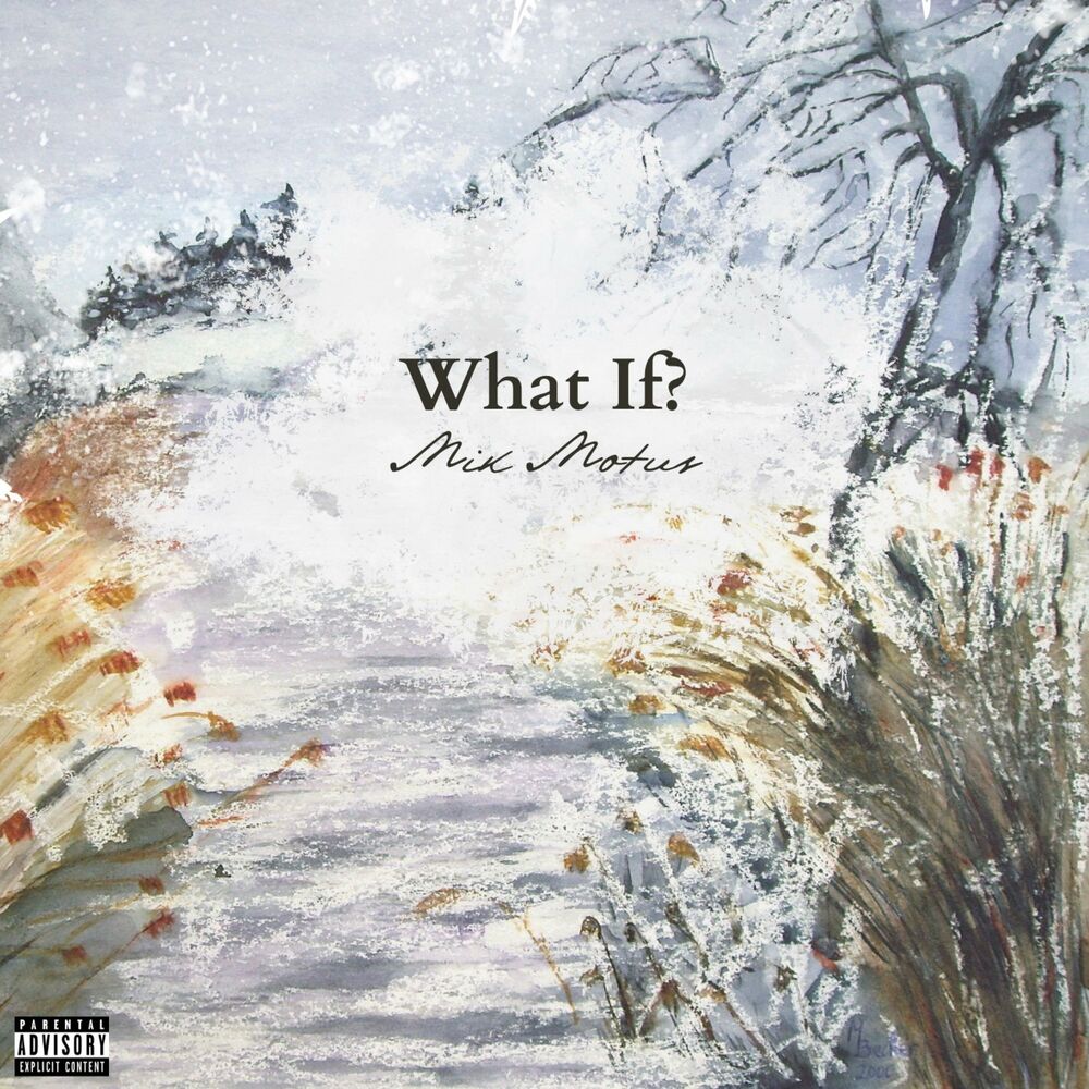 Picture of What If?