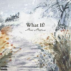 Cover of What If?