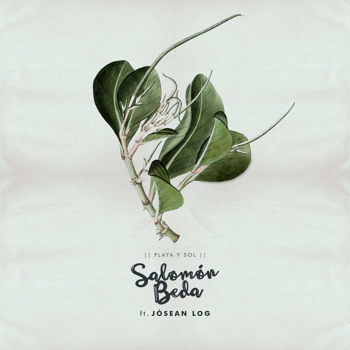 Album cover of Playa y Sol