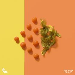 Cover of Young and Beautiful