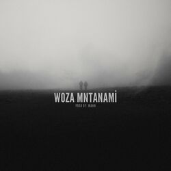 Cover of Woza Mntanami