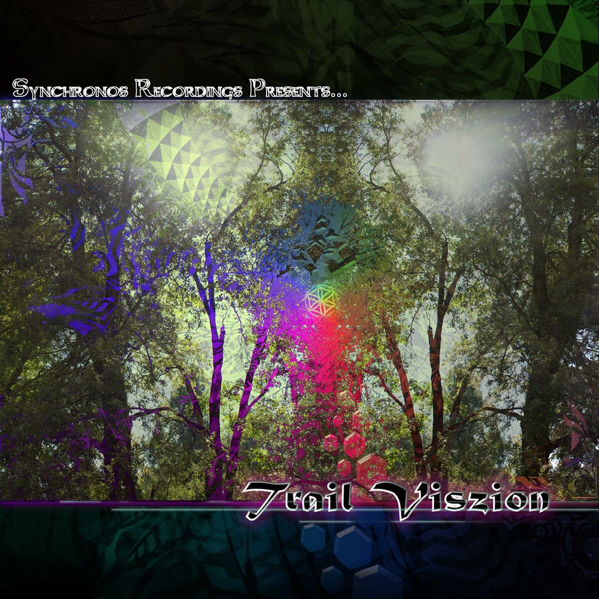 Album cover of Trail Viszion