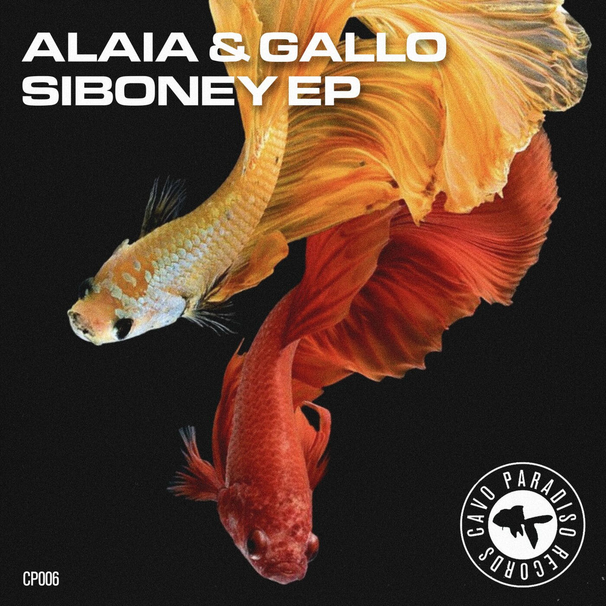 Album cover of Siboney