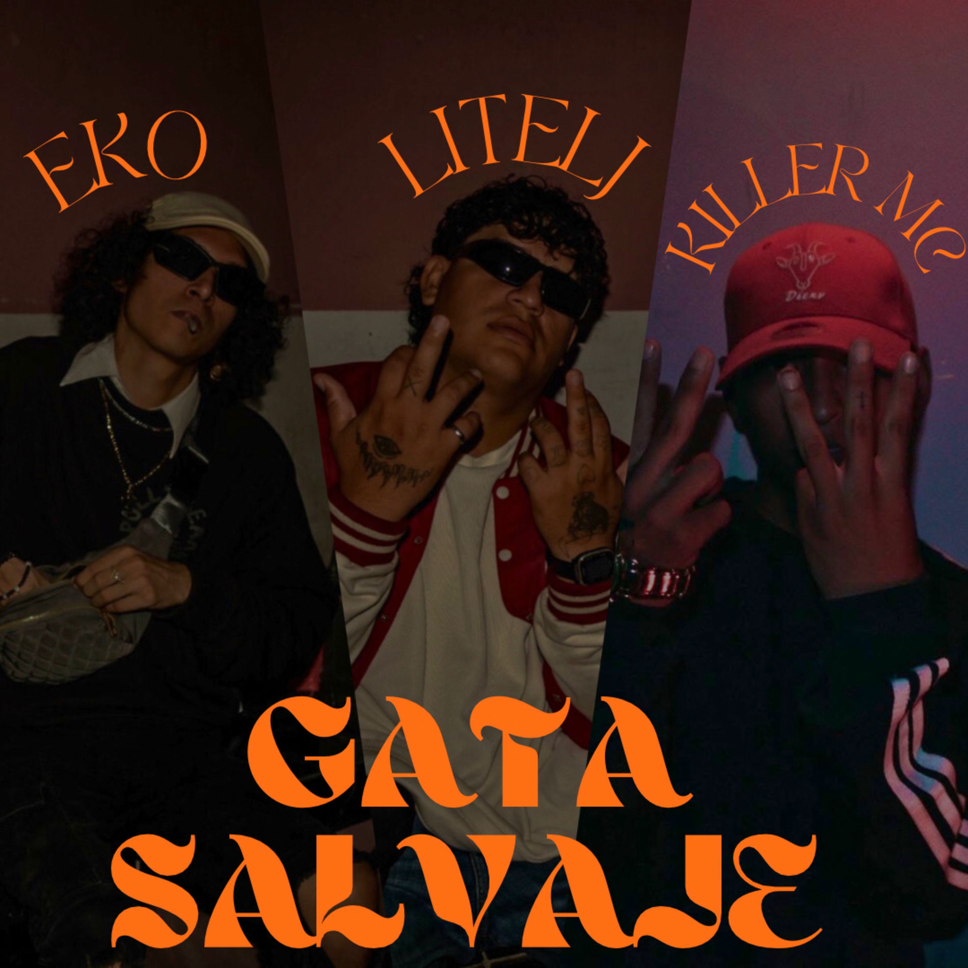 Album cover of Gata salvaje