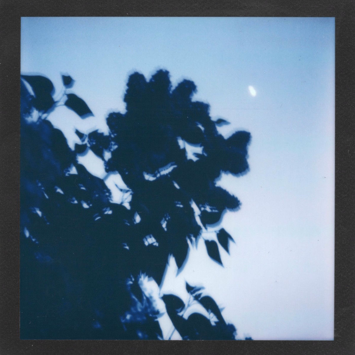 Album cover of very tired