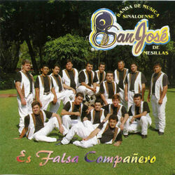 Cover of Es Falsa Compañero