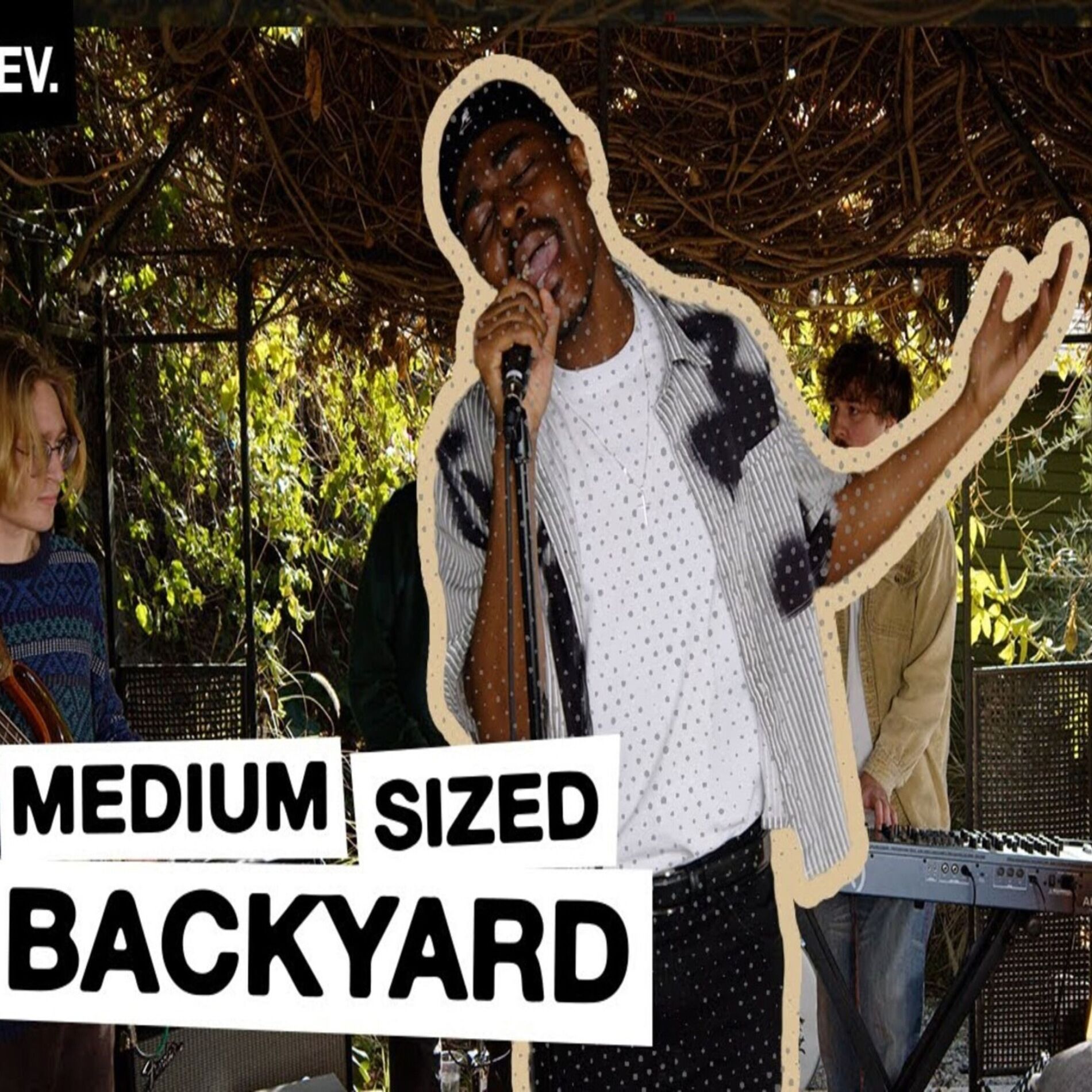 Album cover of MEDIUM SIZED BACKYARD