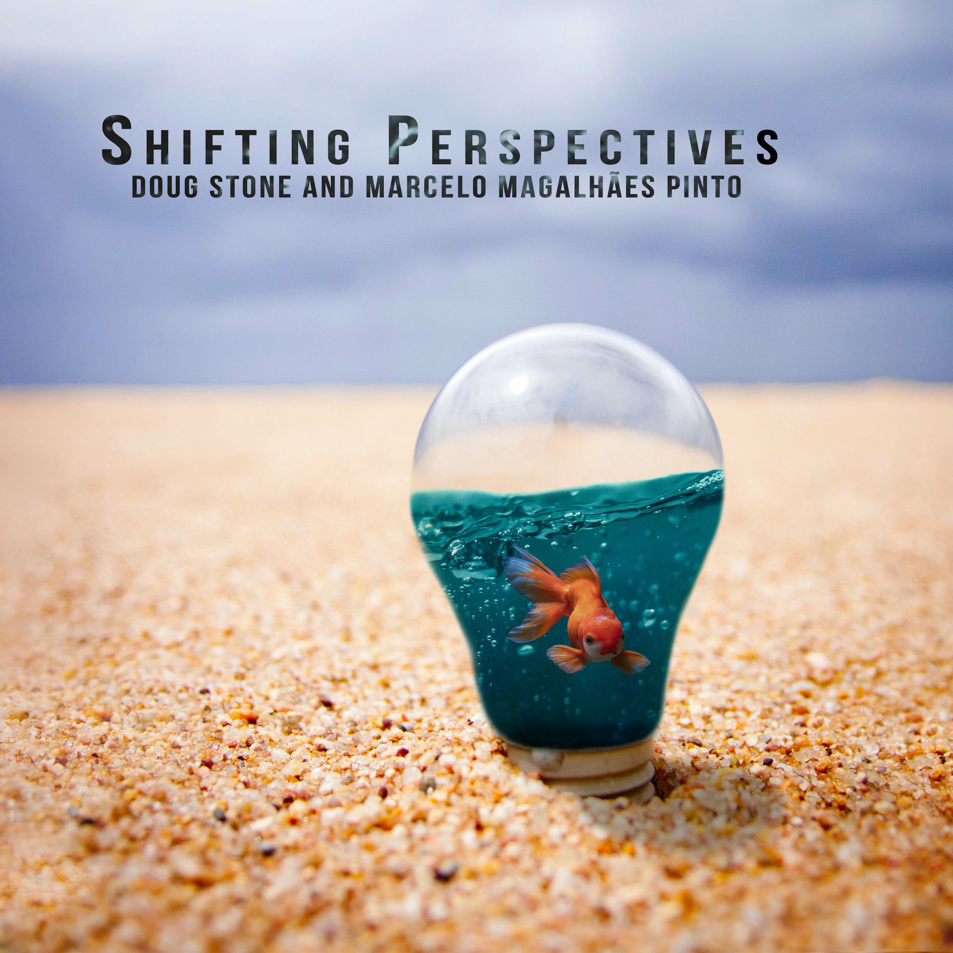 Album cover of Shifting Perspectives