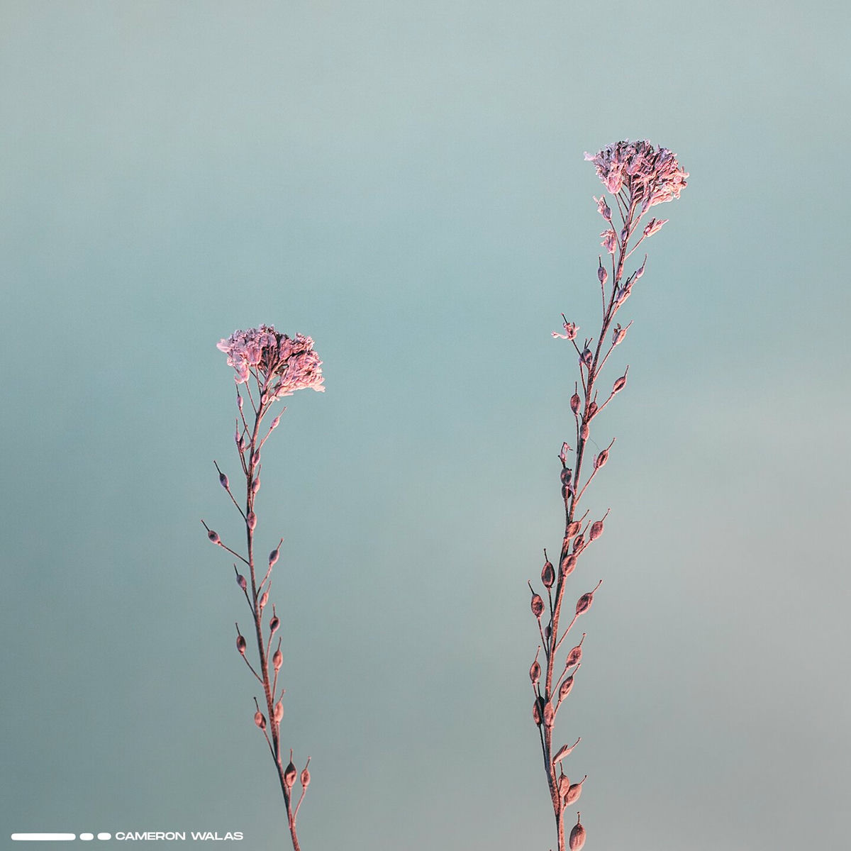 Album cover of Far From Home