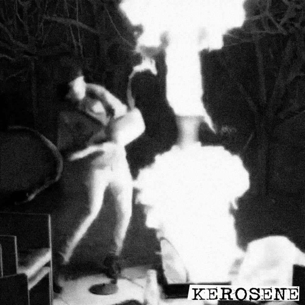 Picture of Burning Down A Family Home