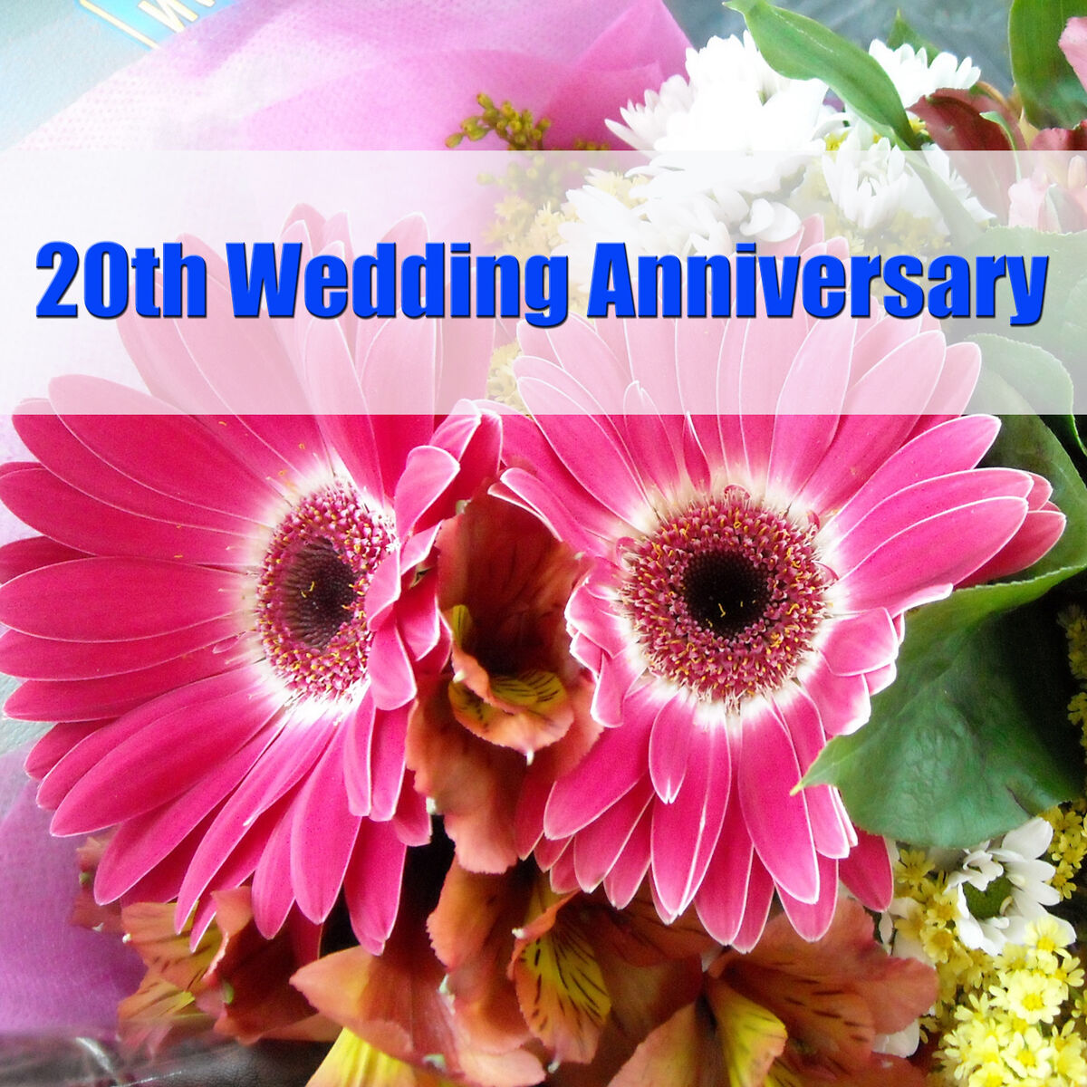 Album cover of 20th Wedding Anniversary