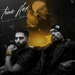 Cover of True Flex