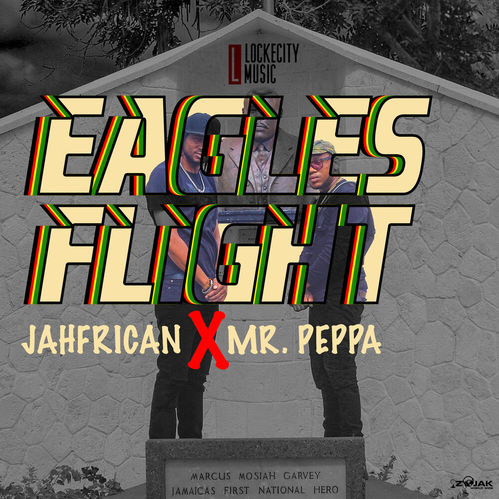 Picture of Eagles Flight