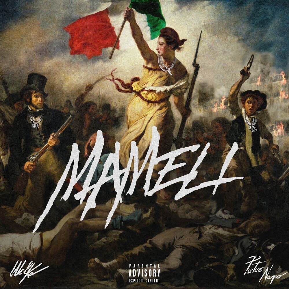 Picture of MAMELI