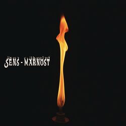Cover of Marnost