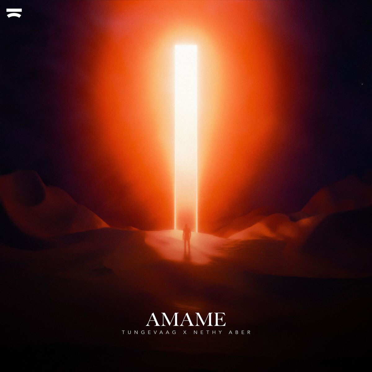Album cover of Amame