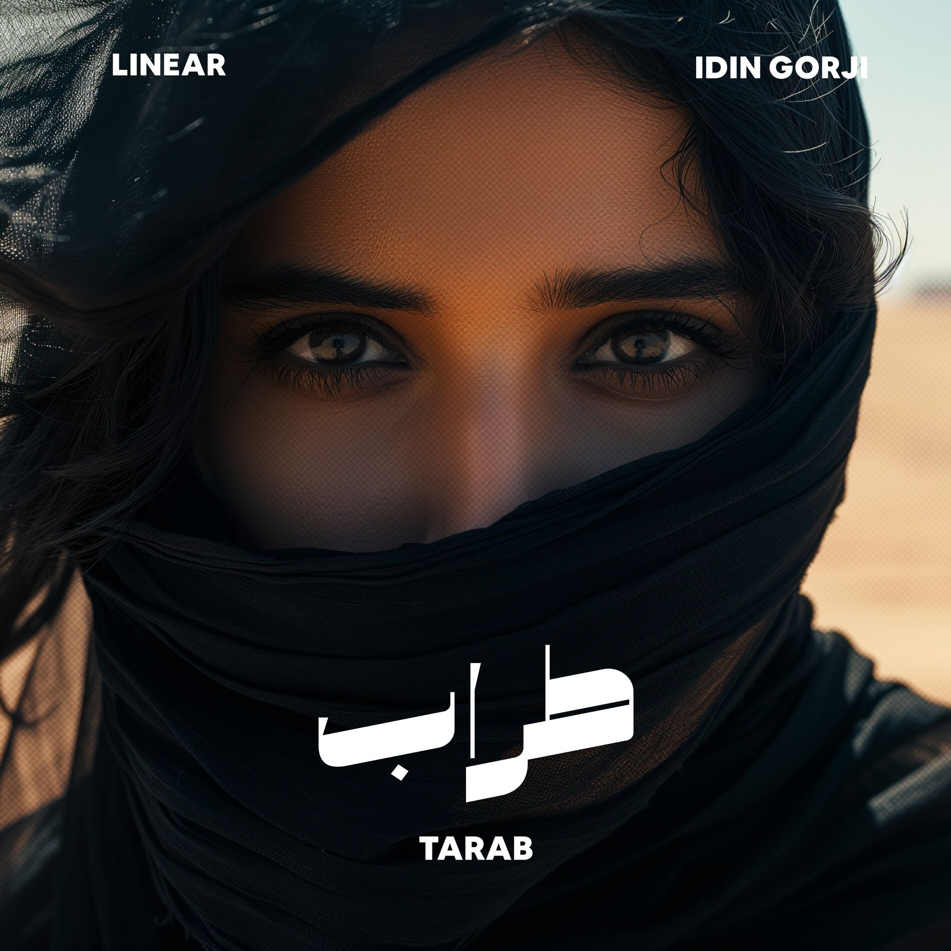 Album cover of Tarab