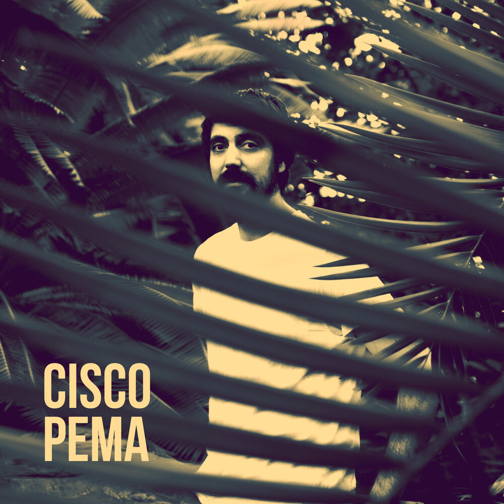 Picture of Cisco Pema