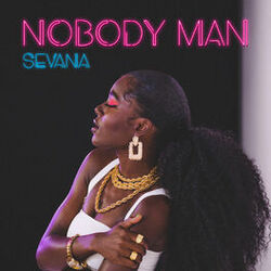 Cover of Nobody Man