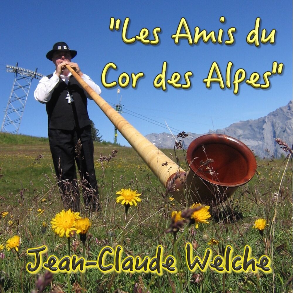 Picture of Les amis du cor des alpes